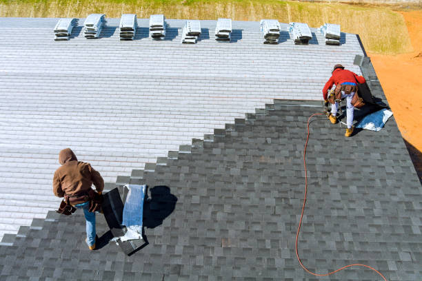 Best Roof Repair Services  in Duquesne, MO