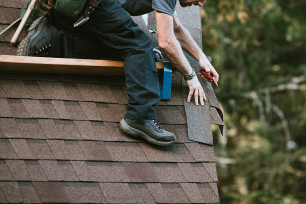 Best Roof Leak Repair  in Duquesne, MO